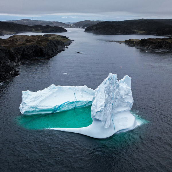Icebergs Photo: Julien Leblanc